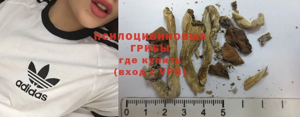 крисы Горно-Алтайск