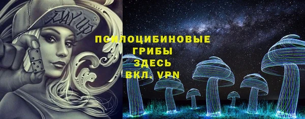 МДПВ Горнозаводск
