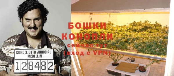 крисы Горно-Алтайск
