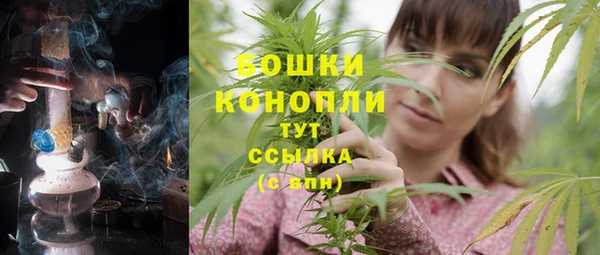 крисы Горно-Алтайск