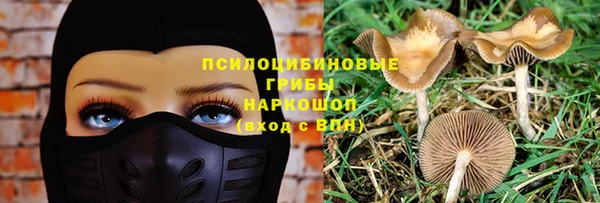 крисы Горно-Алтайск