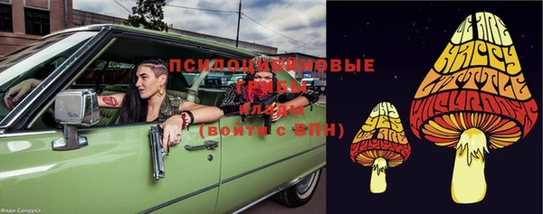 МДПВ Горнозаводск
